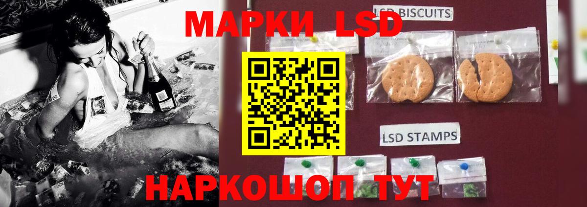 Псилоцибиновые грибы Елец