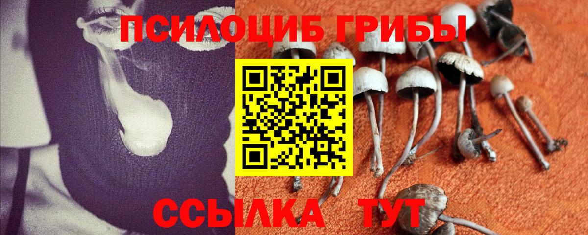 Елец  купить   Вход с VPN  Псилоцибиновые грибы GOLDEN TEACHER 